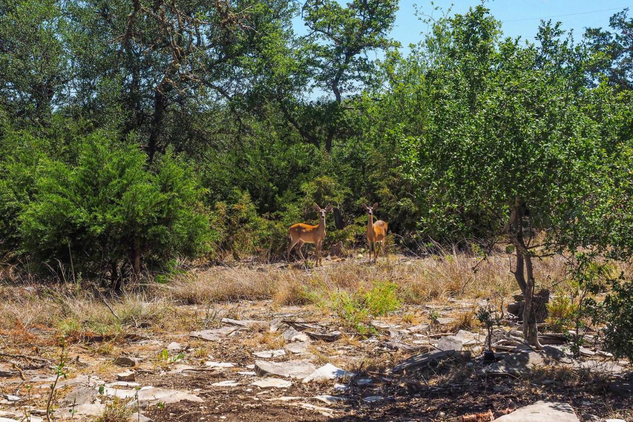 Cozy Kerrville Guest Cottage Near Guadalupe River! Εξωτερικό φωτογραφία